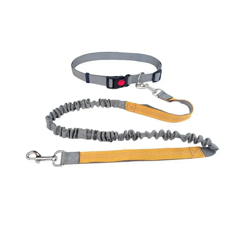 Anniepaw Dog Leash Nylon Hand Freely Dogs Harness Collar Jogging Running Lead Adjustable Waist Leashes Traction Belt Rope Pet Products