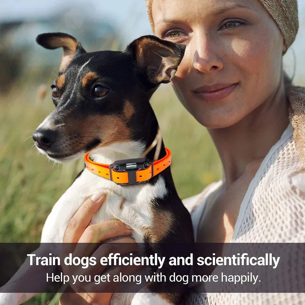 AnniePaw Rechargeable Dog Training Collar - Shock & Vibration with Clicker