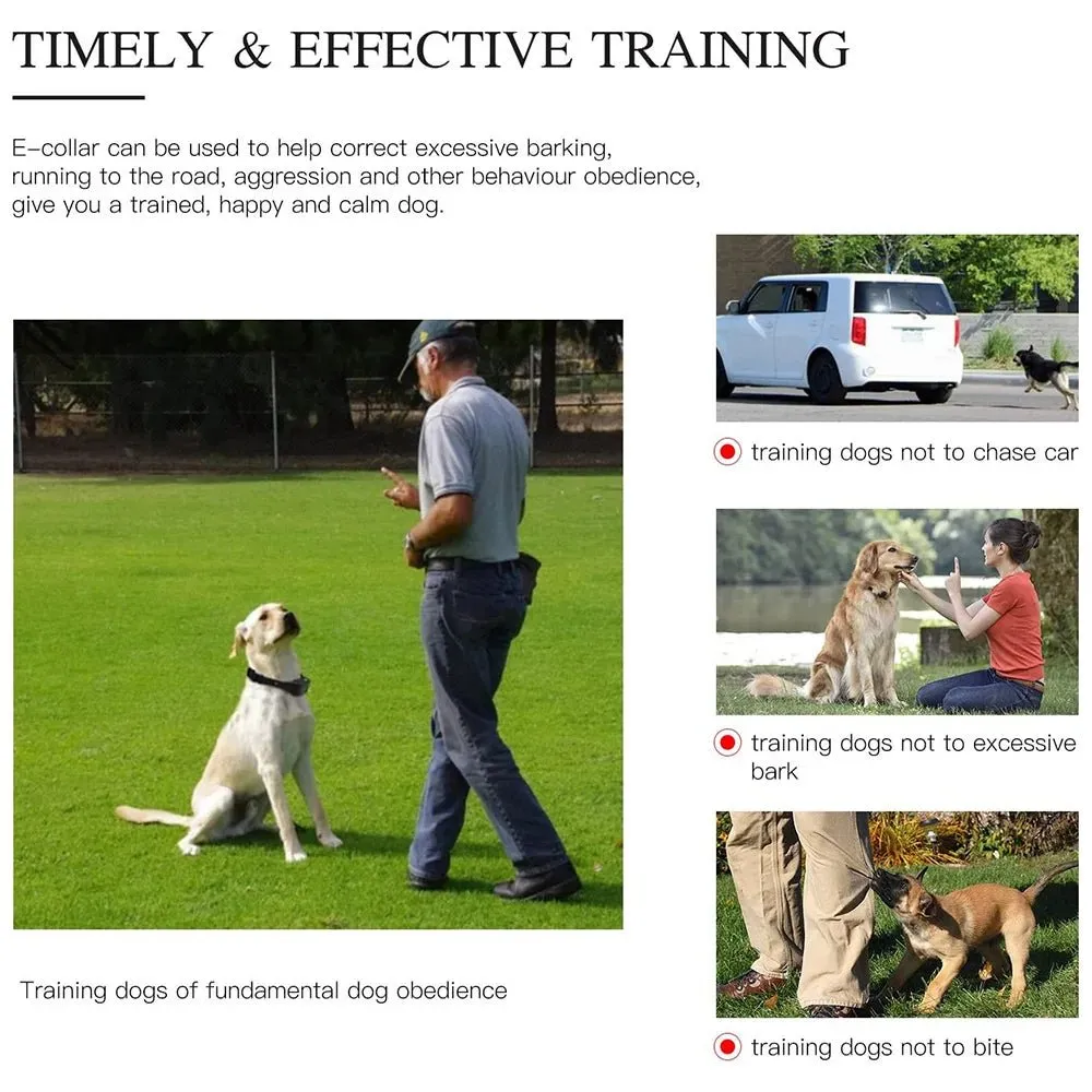 AnniePaw Rechargeable Dog Training Collar - Shock & Vibration with Clicker