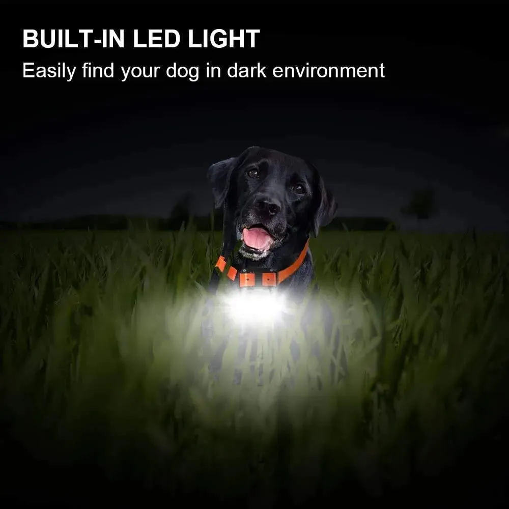 AnniePaw Rechargeable Dog Training Collar - Shock & Vibration with Clicker