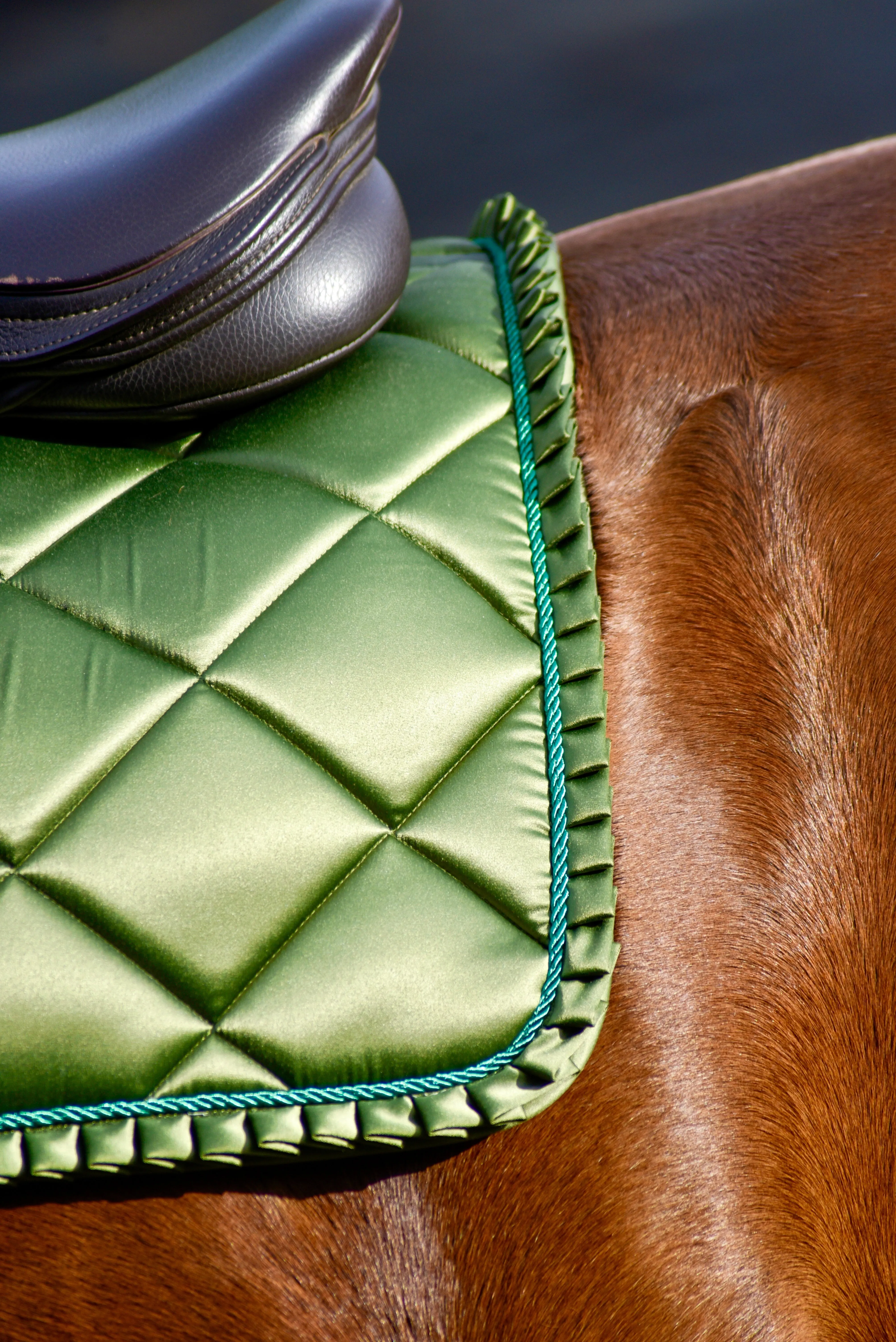 Auven Equestrian Saddle Pads - Jumping