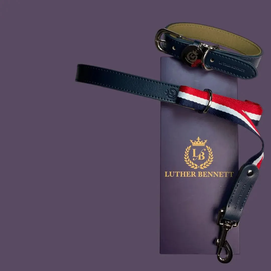 Bentley Collar & Leash Set