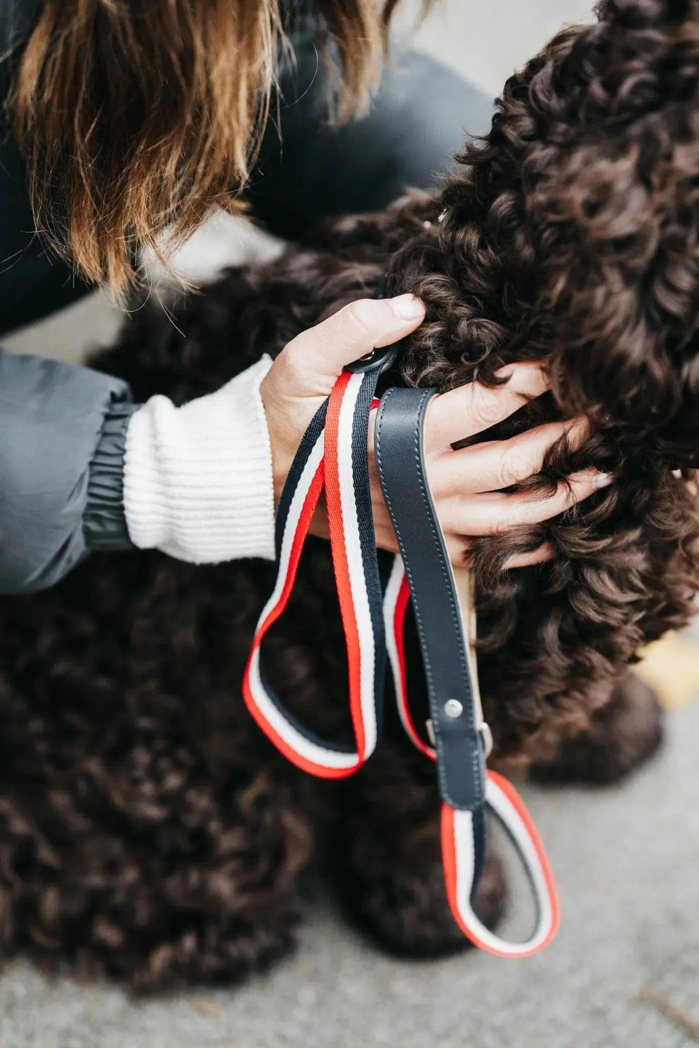 Bentley Collar & Leash Set
