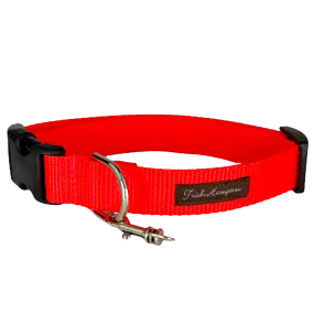 Fluorescent Orange Nylon Webbing Dog Collar - 810