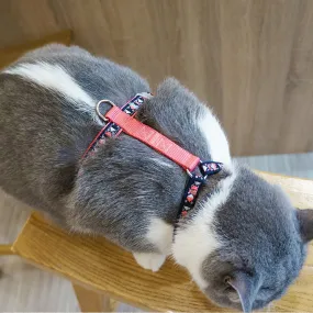 Loofie Colorful Cat Harness with Leash - Comfy, Breathable, and Perfect for Outdoor Adventures