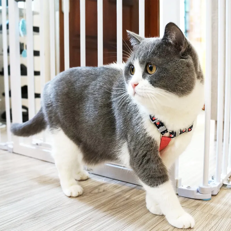 Loofie Colorful Cat Harness with Leash - Comfy, Breathable, and Perfect for Outdoor Adventures