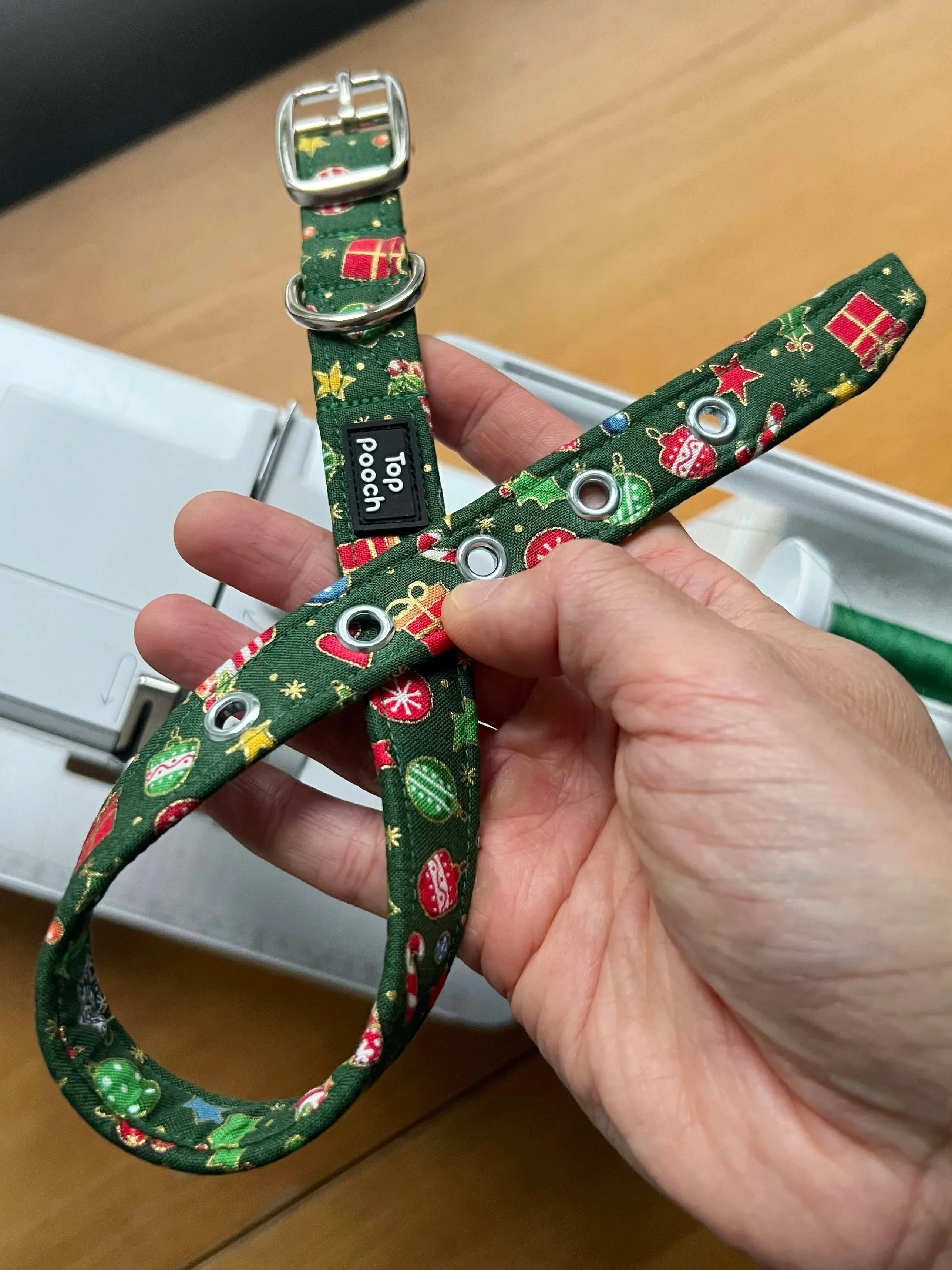 Noel (Silver Buckle) Dog Collar