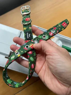 Noel (Silver Buckle) Dog Collar