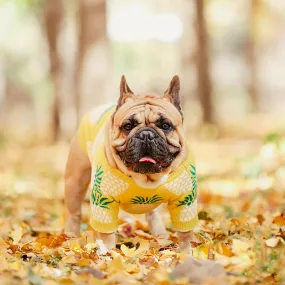 Pineapple Jumper