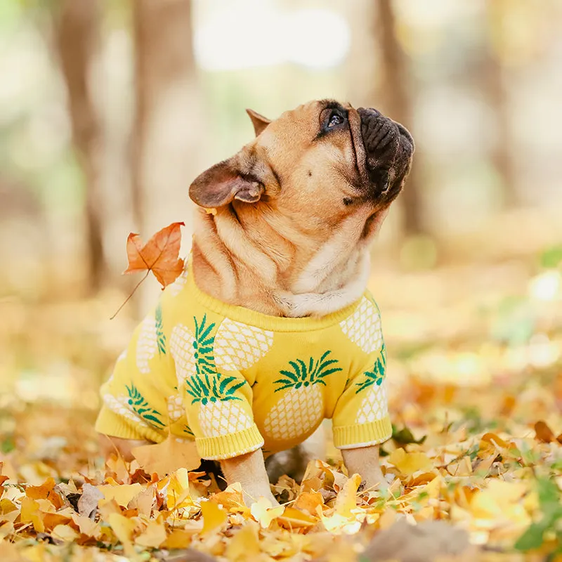 Pineapple Jumper