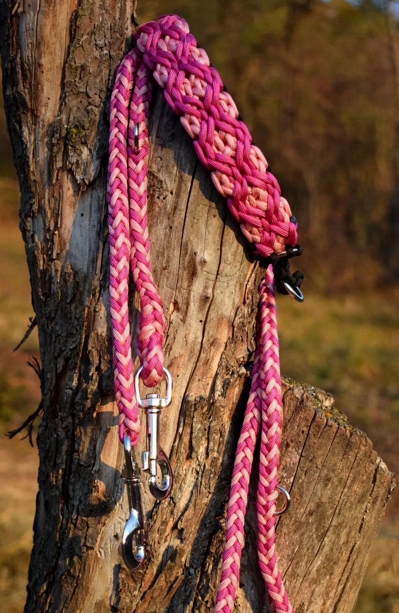 Rubin braid Dog collar