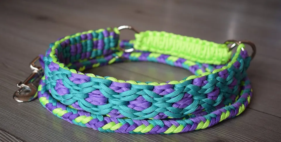 Rubin braid Dog collar