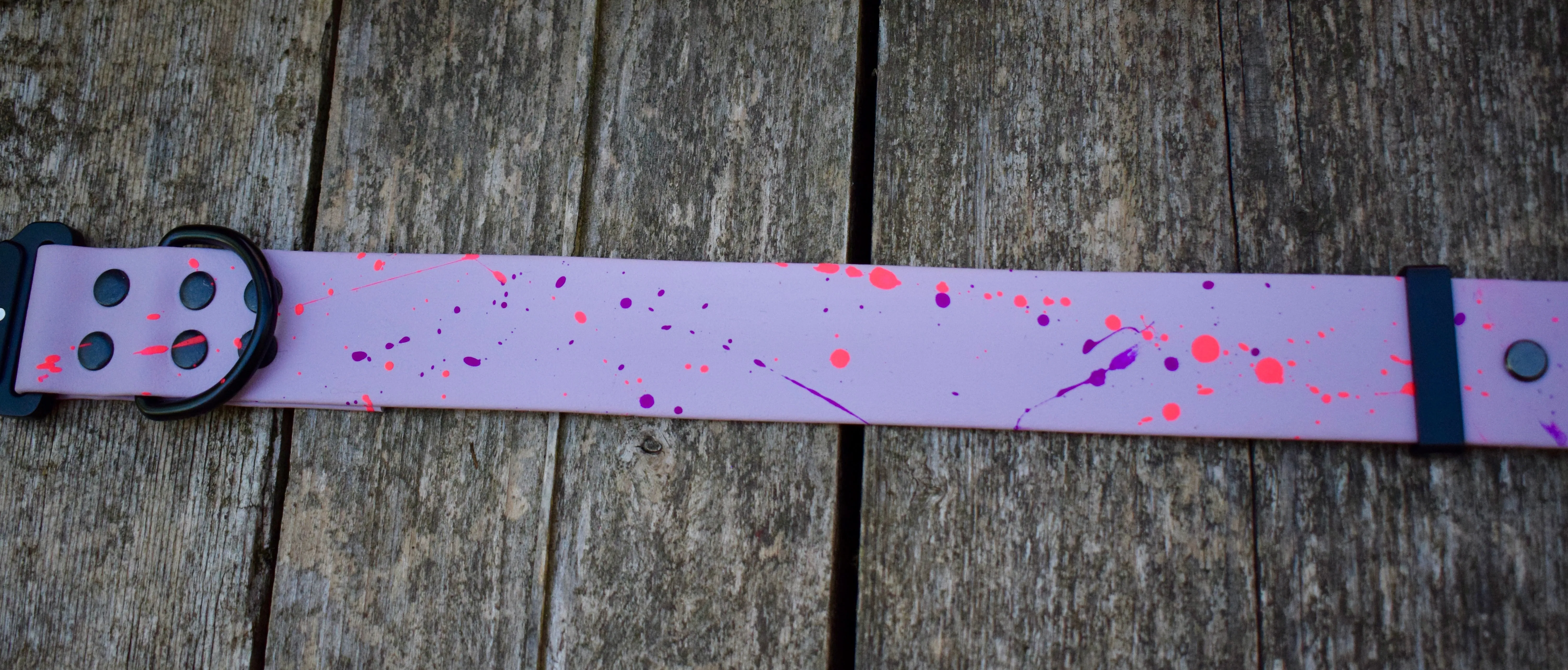SPLASH Big Dog collar - 38mm