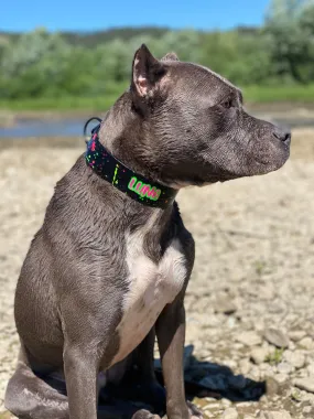 SPLASH Big Dog collar - 38mm