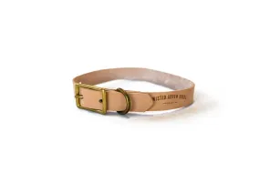 Tuxedo Dog Collar