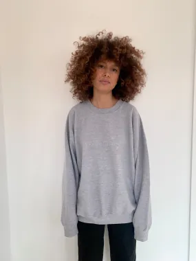 WE ARE SISTERS sweatshirt in grey. Large