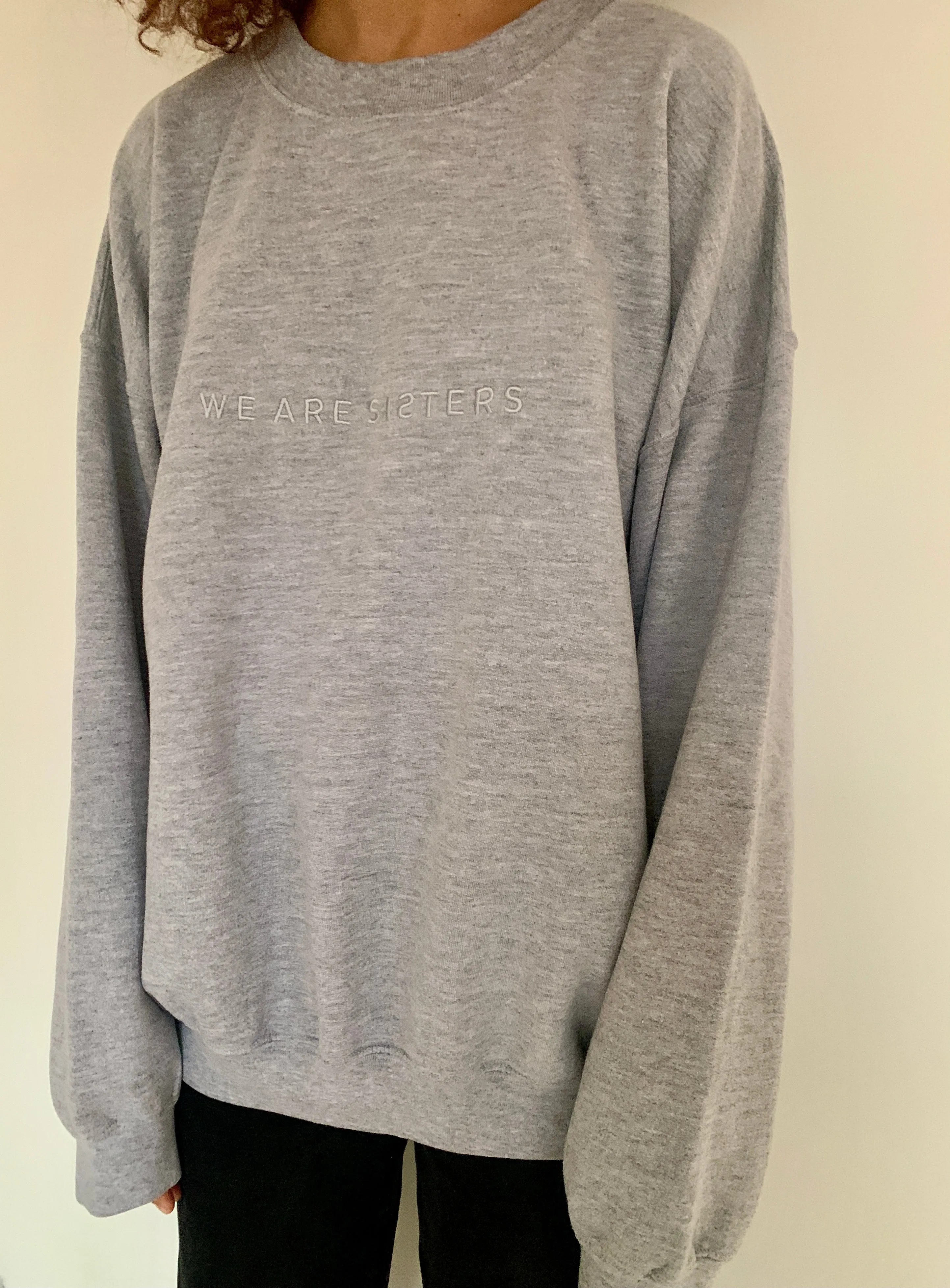 WE ARE SISTERS sweatshirt in grey. Large